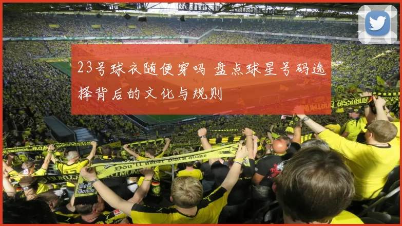 23号球衣随便穿吗 盘点球星号码选择背后的文化与规则