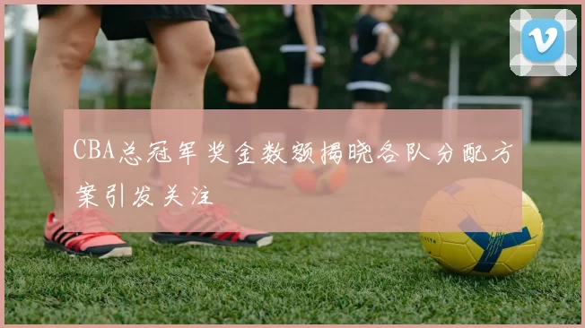 CBA总冠军奖金数额揭晓各队分配方案引发关注