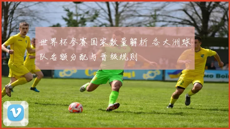 世界杯参赛国家数量解析 各大洲球队名额分配与晋级规则