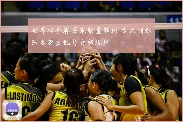 世界杯参赛国家数量解析 各大洲球队名额分配与晋级规则
