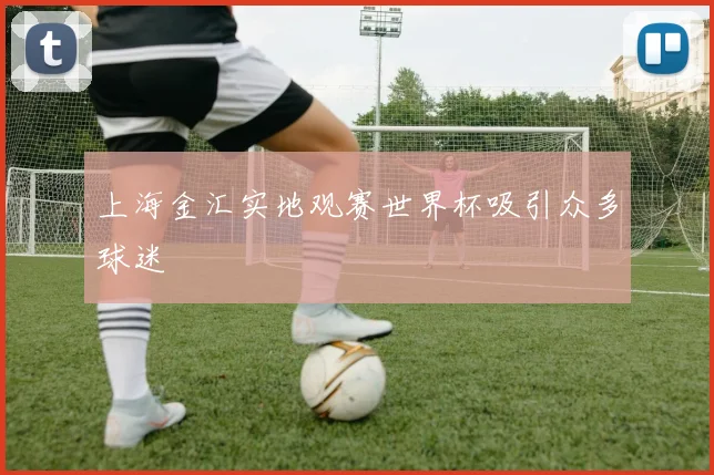 上海金汇实地观赛世界杯吸引众多球迷