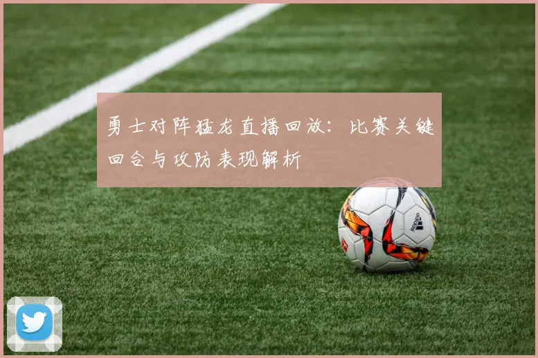 勇士对阵猛龙直播回放：比赛关键回合与攻防表现解析