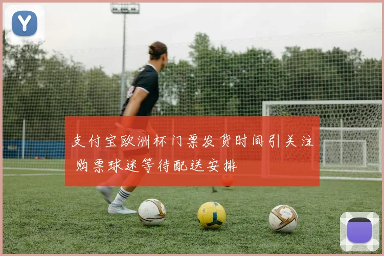支付宝欧洲杯门票发货时间引关注 购票球迷等待配送安排