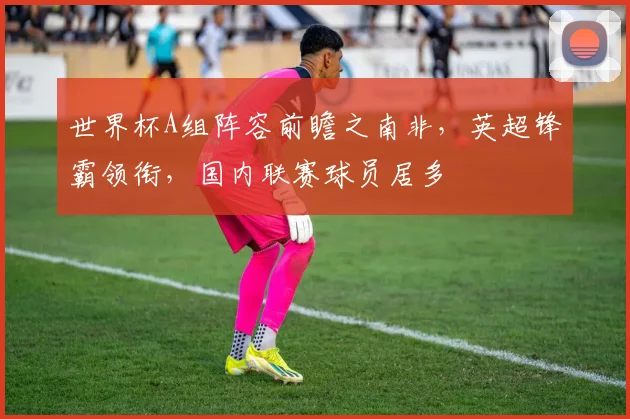 世界杯A组阵容前瞻之南非，英超锋霸领衔，国内联赛球员居多