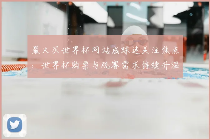 最火买世界杯网站成球迷关注焦点,世界杯购票与观赛需求持续升温
