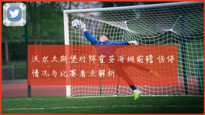 沃尔夫斯堡对阵霍芬海姆前瞻 伤停情况与比赛看点解析