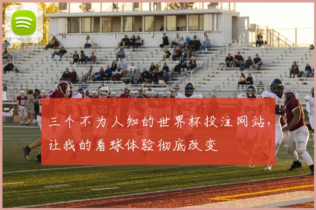 三个不为人知的世界杯投注网站，让我的看球体验彻底改变