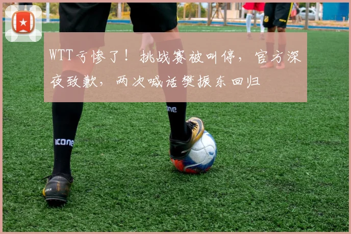 WTT亏惨了!挑战赛被叫停,官方深夜致歉,两次喊话樊振东回归