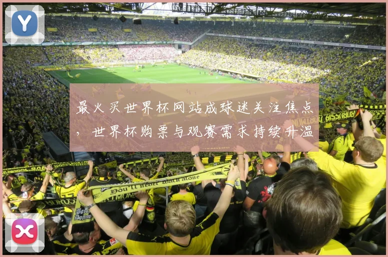 最火买世界杯网站成球迷关注焦点，世界杯购票与观赛需求持续升温